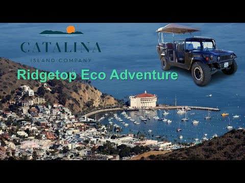 ¡Excursión ecológica en Hummer por la cima de Catalina! Video de 2 minutos con lo más destacado de la ruta
