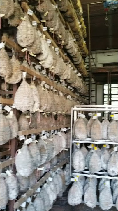 Italy - Culatello and Prosciutto in Zibello