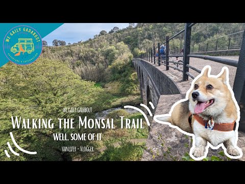 Walking the Picturesque Monsal Trail: A Breath of Fresh Air