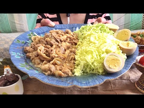 20190420 少しだけ【咀嚼音】【ASMR】【mukbang】 生姜焼き 煮卵 醤油ご飯 トマト ぬか漬け しば漬け 食べるだけ 一人飯 飯枠 飯動画 Mukbang eating show