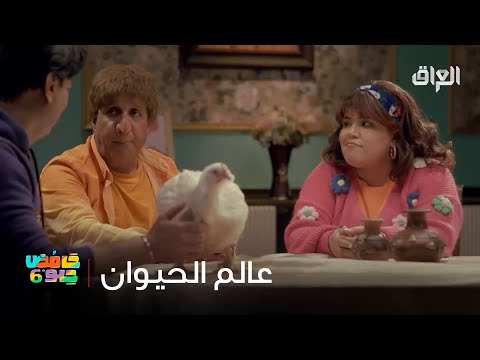 عبو وحنونة وعالم الحيوان 