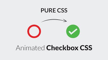 How To Create Custom Checkbox Using CSS  | pure CSS custom checkbox  | DesignTorch