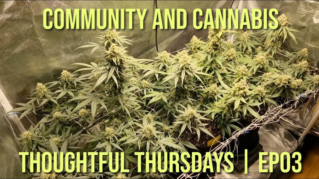 Community and Cannabis | Thoughtful Thursdays | EP03