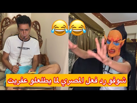 رد فعل الاجنبي Vs المصري لما يطلعلوا عفريت ضحك السنين نادر أجنبي Nader Agnaby 