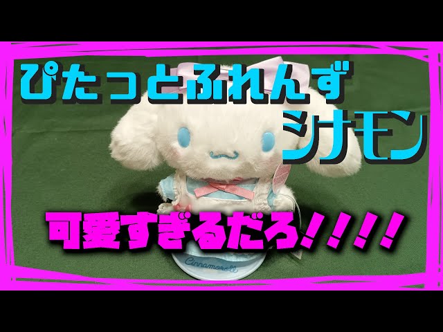 ぴたっとふれんずシナモロールをお迎えしました＋今後の事とか。 - YouTube