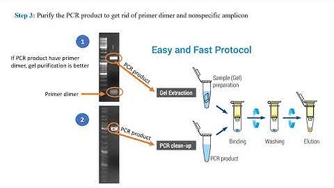 Gateway cloning. Part 2: Generating entry clone through BP reaction