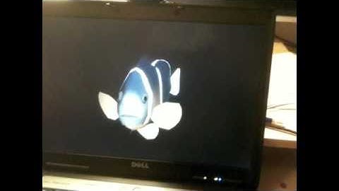 Head Tracking Fish 2 - Using ARToolKit and H3D