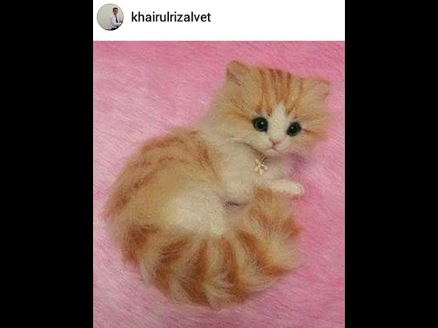 80 Gambar Lucu Warna Kuning Paling Keren 80 Gambar Lucu Warna Kuning Paling Keren