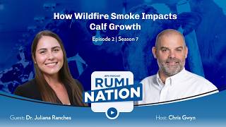 S7E2 | How Wildfire Smoke Impacts Calf Growth with Dr. Juliana Ranches