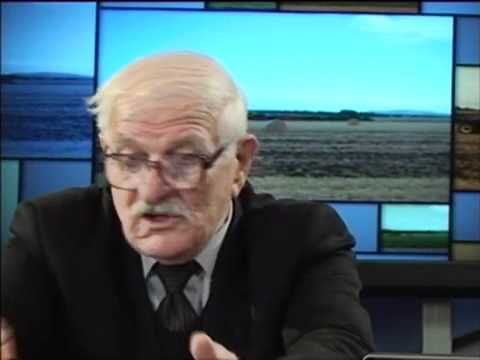 სასუფრე ჯიშის ყურძენი