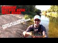 Session peche retour avec will hook  pche de la perchepche fishing perch