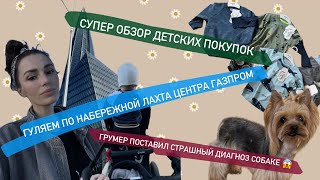 видео: Летим к ветеринару, после грумера; большой обзор детских покупок; гуляем по набережной Лахта газпром картинка: Летим к ветеринару, после грумера; большой обзор детских покупок; гуляем по набережной Лахта газпром