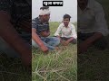 🤔🫢jekar bhaiyl BA Biya u to maja Mari hai#trendingshorts #fanivairl Video