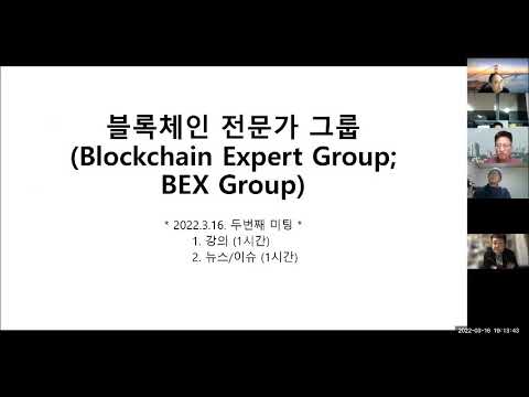 블록체인 전문가 그룹 강의 두번째 미팅 (BEX GROUP), 줌을 통한 온라인 모임