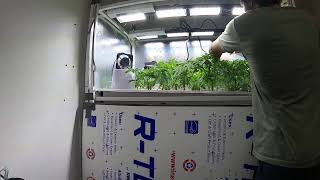 Grow Room Gang-Mixing Athena Pro Flower Nutes