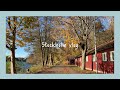 Why Do I Live In Sweden? - Mini Q&AㅣLife In StockholmㅣKorean In Scandinavia