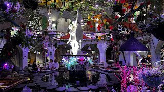 A Cafe Where You Dine with Fish | Oasis in Ho Chi Minh City