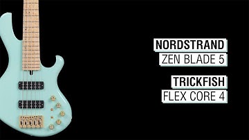 Nordstrand Dual Coil 5 + Trickfish Flex Core 4 - Maruszczyk Frog 5a 35"