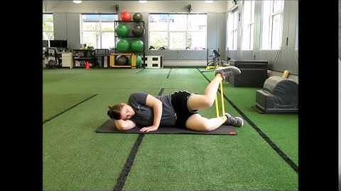 Hip: Open Reverse Clamshells