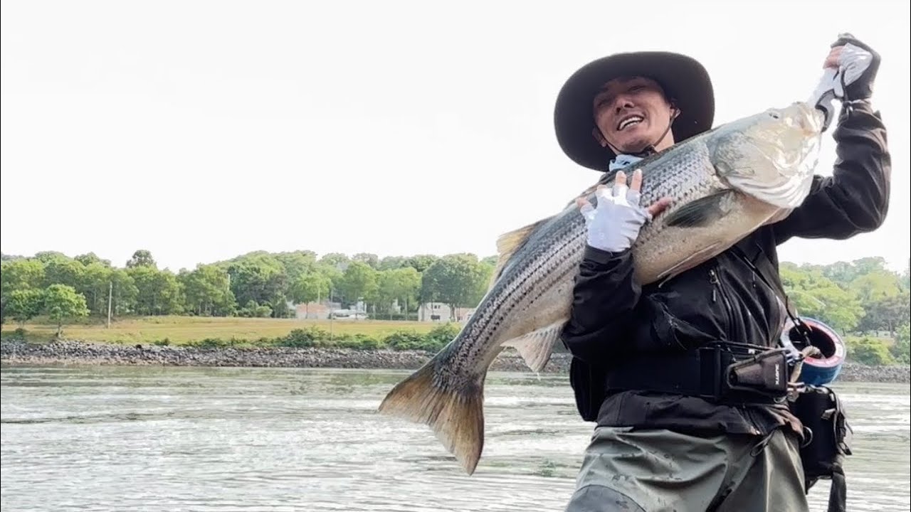 Topwater Bites @ Cape Cod Canal