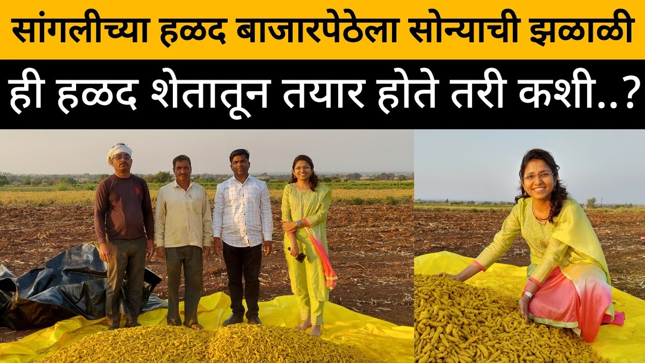 हळदीच्या शेतीचा यशस्वी प्रवास | हळद उत्पादक शेतकरी | Turmeric Farming And Processing | SuccessStory