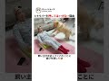 レトリバーを押してはいけない理由