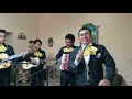 Inolvidable madre - Mariachi Damasco