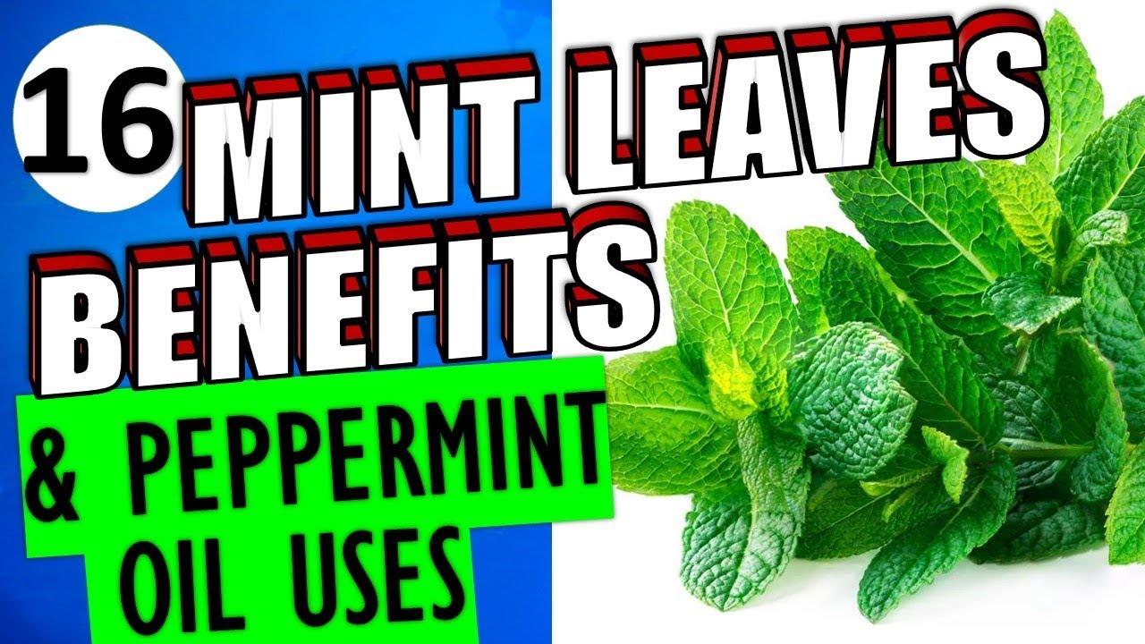 Peppermint oil uses and benefits for beauty, health and home