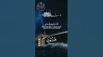 #دار_الوفاء #القرآن_الكريم #تلاوة_صوت_جميل_عذب #دار_القرآن #اكسبلور #دويتو #dar_lwafa# duet