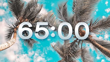 SUMMER 65 MIN TIMER