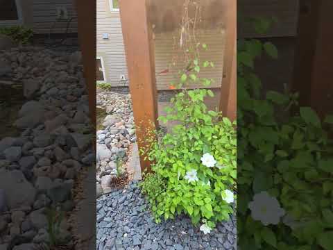 Https Tinyurl Com 5cargarage 