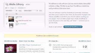 Загрузка дистрибутива CMS WordPress (3/20)