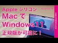 【お試し無料から】M1/M2 MacでWindows11！正規版が8月から可能になったので試してみた・Parallels 18仮想デスクトップ