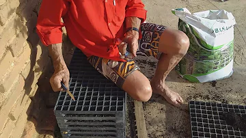 Quanto tempo para nascer o tomate?
