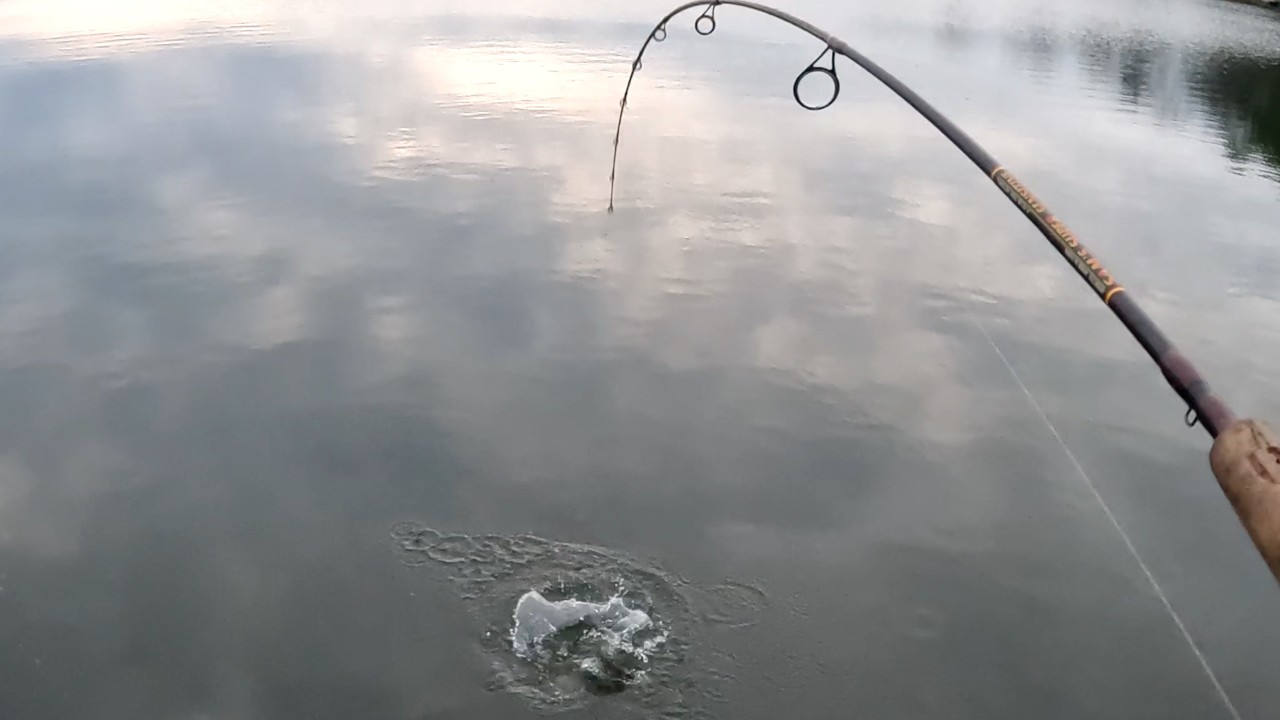 Even Though A Cold Front Was Rolling In, The Fishing Was Interesting