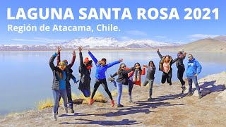 Gran Aventura por Laguna Santa Rosa 2021, Atacama, Chile.