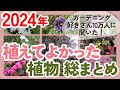 植物選びの参考に💐2024年植えてよかった植物を季節別に紹介‼️【ガーデニング】【園芸】