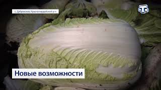Новые возможности