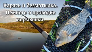 15 мая 2023. Карась и безмотылка. Немного о проводке мормышки. Боковой кивок.