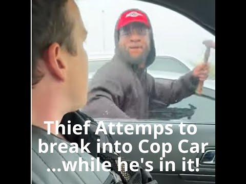 Criminal Passes out while breaking into OCCUPIED Police Car SHORT FULL VIDEO LINKED BELOW