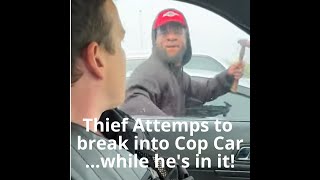 criminal passes out while breaking into occupied police car short full video linked below