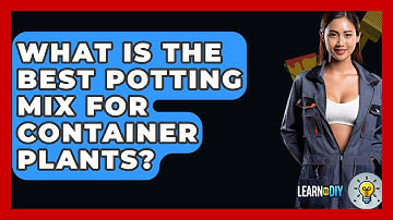 What Is The Best Potting Mix For Container Plants? - LearnToDIY360.com