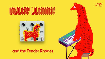 JAM pedals | the Delay Llama XTREME through the Fender Rhodes