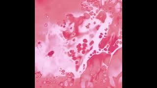 Josh Melhouse-Reflections ( video)