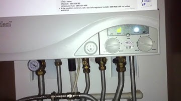 Ideal Isar He30 loud noise