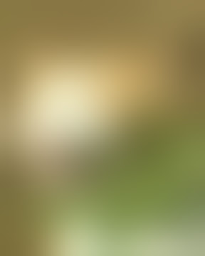 Kucing makan daun ganja