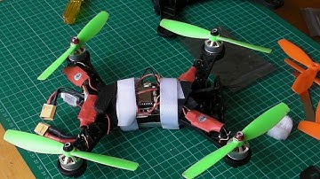 Bugs 3 in a Bugs 6 Shell - Rebuild with 10amp ESCs and Test