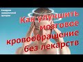 Как улучшить мозговое кровообращение при синдроме позвоночной артерии. Без лекарств.