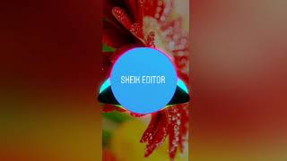 Sheik Editor_Official- Never Lie away ❤️❤️❤️