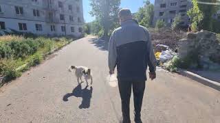Мирноград. Прифронтове місто, але пташок миру безліч. Мешканці піклуються про дворових улюбленців 
